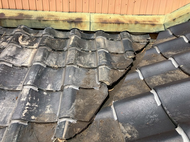 葉っぱを清掃した後